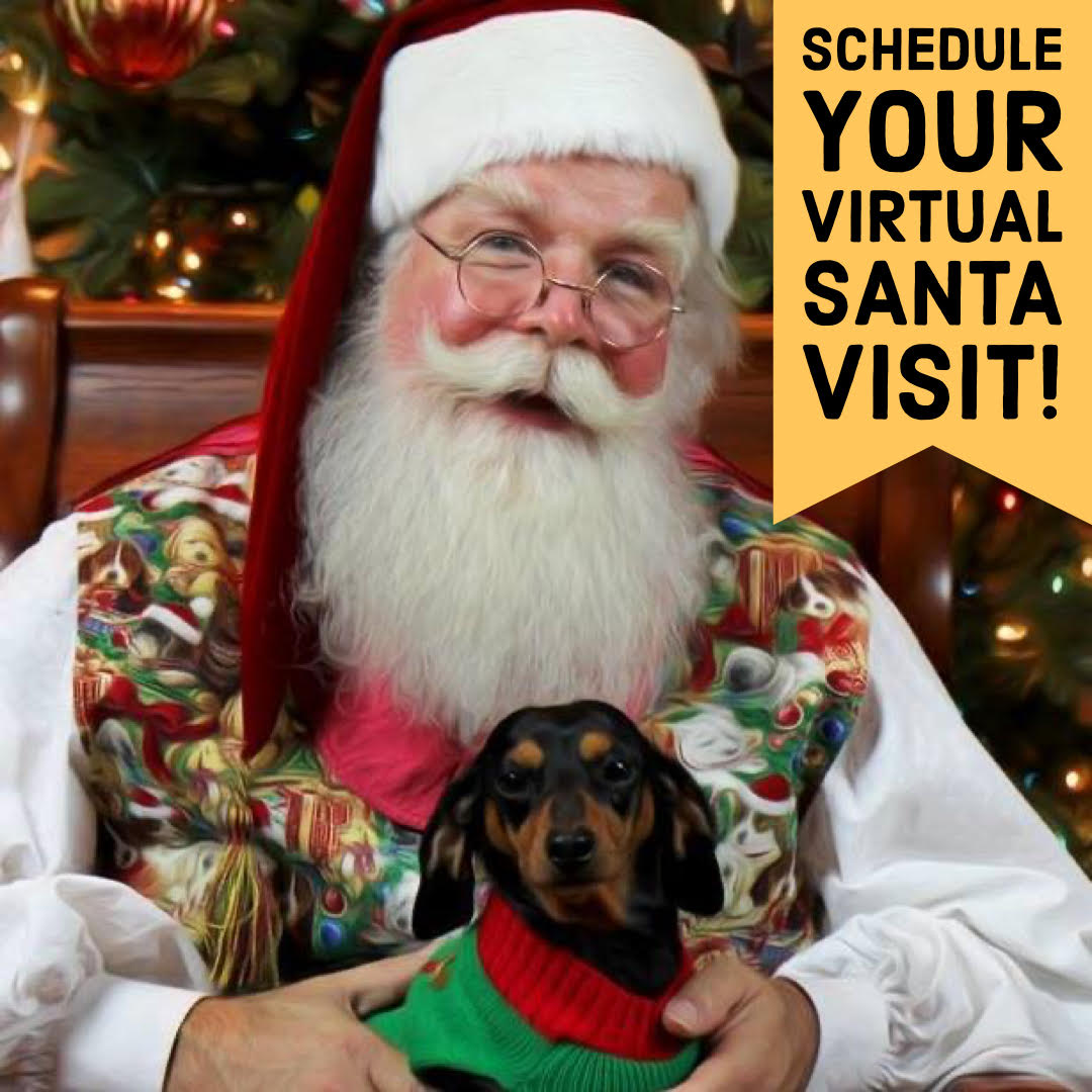 virtual Santa, virtual Santa visits, online Santa, Santa for hire online,  virtual santa for hire, Santa for hire Dallas, Zoom with Santa, corporate Santa visit